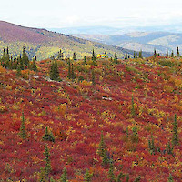 Helicopter on South Klondike ridge